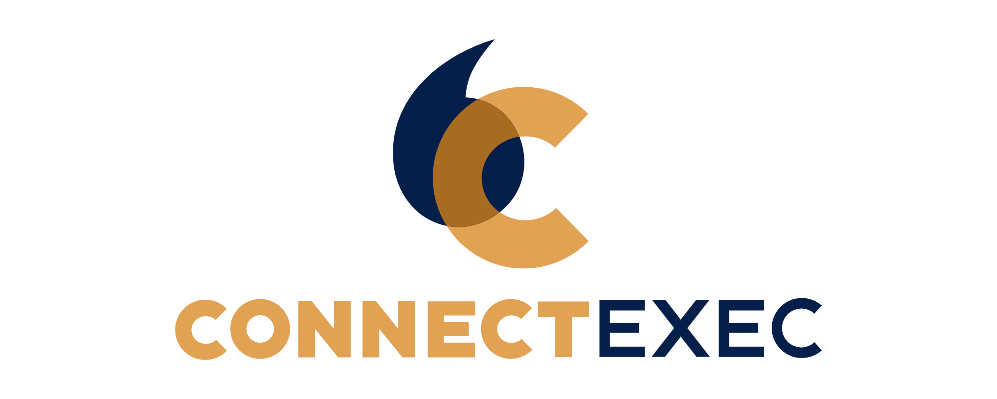 connectexec.co.uk